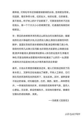 素材的优美句子