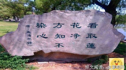关于炼心的优美句子