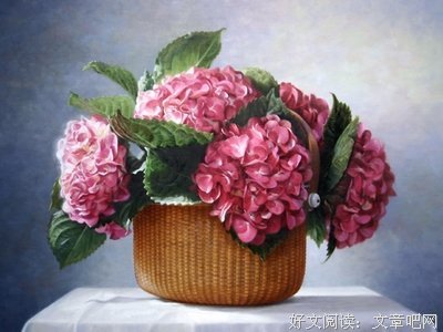 《私人战争》影评摘抄