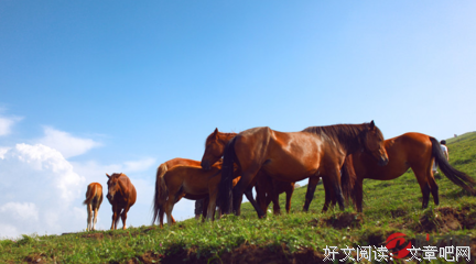 关于乱花渐欲迷人眼的名句摘抄