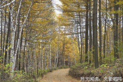 关于为时不晚的唯美语录