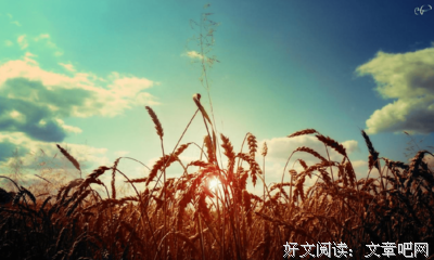 语句