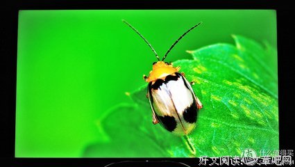 选择“不退”的中年