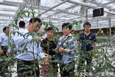 线国霞的名言名句