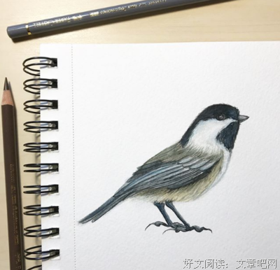 关于实失点浮尘的优美句子