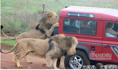 玻璃经典名句