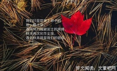录经典的句子