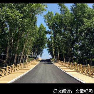 有关艾明雅座右铭