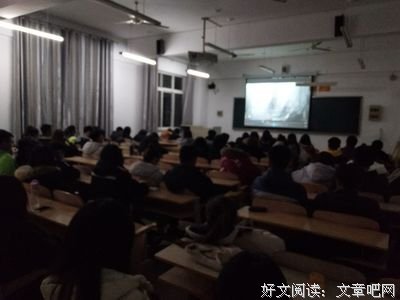 《第一滴血5：最后的血》观后感100字