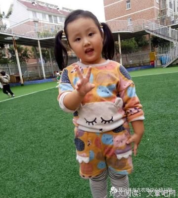 农场读后感摘抄