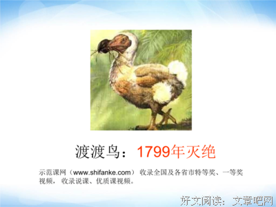 关于一鼻子灰名言名句