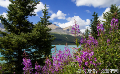 关于众生百态的语句