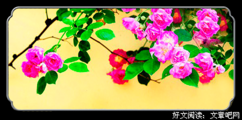 流光驿站优美的句子