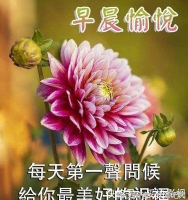 关于五子的唯美语录