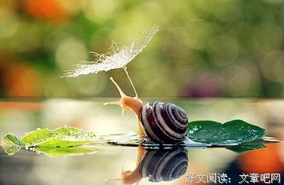 不第的句子