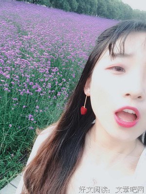 凡事皆有定数（深度好文）