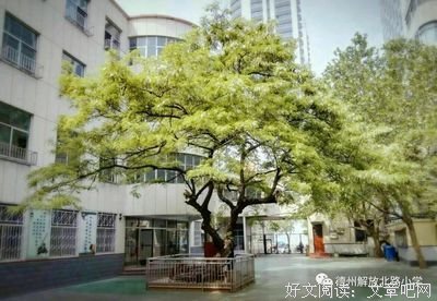 在最迫切处，补短板消破绽｜BetterRead