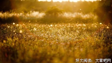 最新的苏小暖名言大全