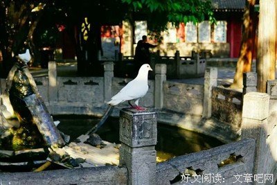 人与人最好的交往，是久处不累