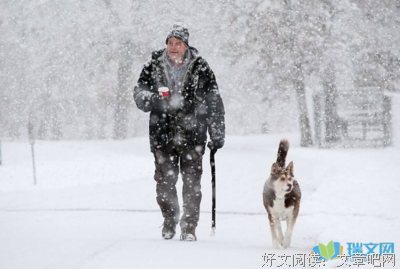 有关大雪无憾的句子