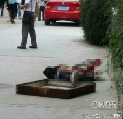我也曾经憧憬过 种就也来心不结果名句欣赏