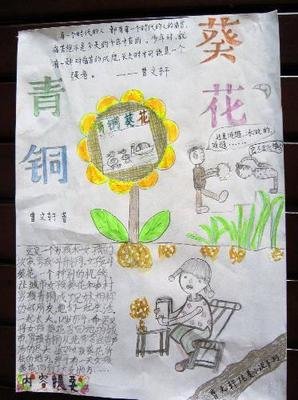 《葵花进城》观后感摘抄