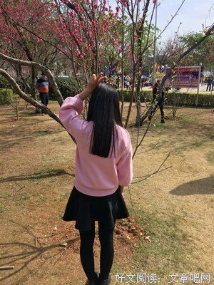 《桃花劫》好看吗？经典观后感锦集