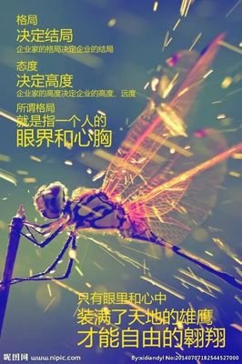 15条关于一片生机的经典语句