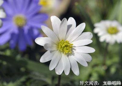 关于遇见的句子