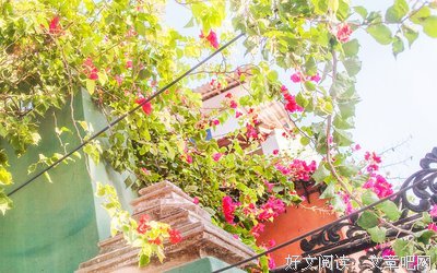 鼓励加开导句子大全