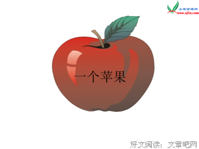 《这是苹果吗也许是吧》读后感1000字