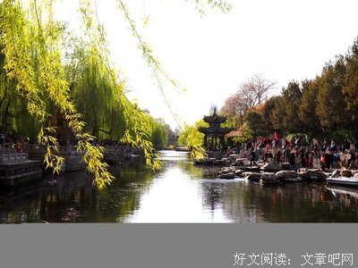 《假如比尔街可以作证》读后感锦集