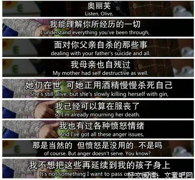 奥丽芙·基特里奇读后感100字
