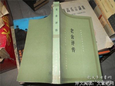 老舍评传（增补本）读后感100字
