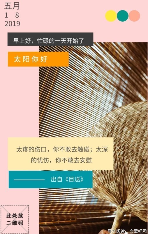 最新的《目送》经典名句