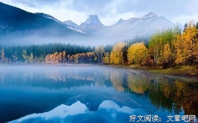 素材的优美句子