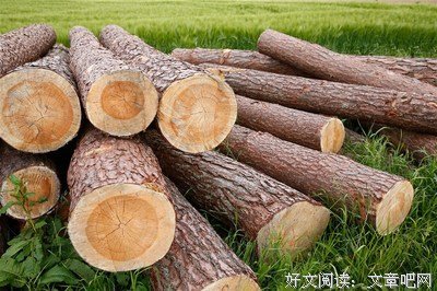 了得去当生地这过没中的女郑经典的句子