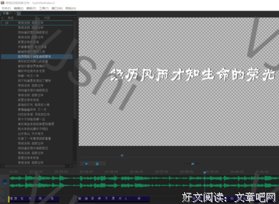 朋友圈年度催泪视频：“有钱没钱，回家过年”