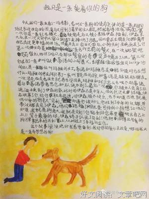 《犬爱》经典影评1000字