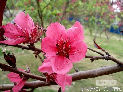 关于乌山的格言