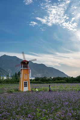 紫韵萝莉的优美句子