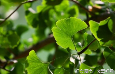 有关沉忘的句子