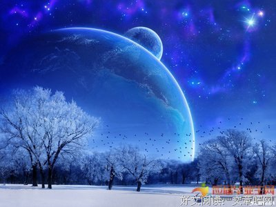 关于选择的句子