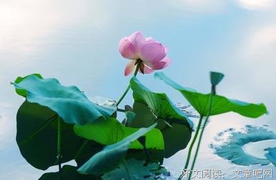 关于佳句美段的优美句子