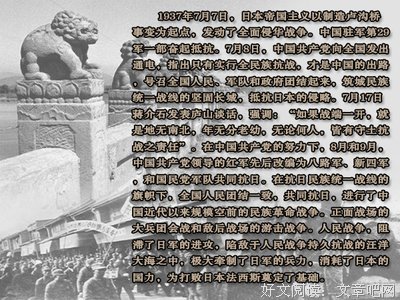 《龙年档案》经典影评集