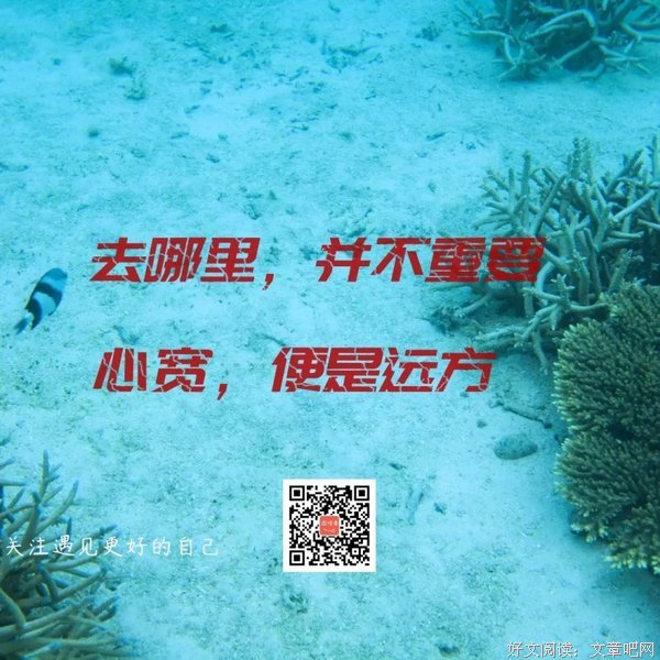 有关007号的句子