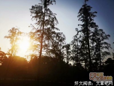 《断舍离（2019年新版）》读后感精选