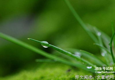 珠帘淡望繁华゛的优美句子