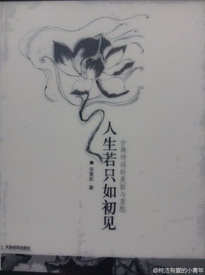 人生若只如初见好词好句