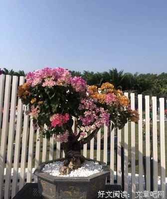 人嘛，要学会一笑而过